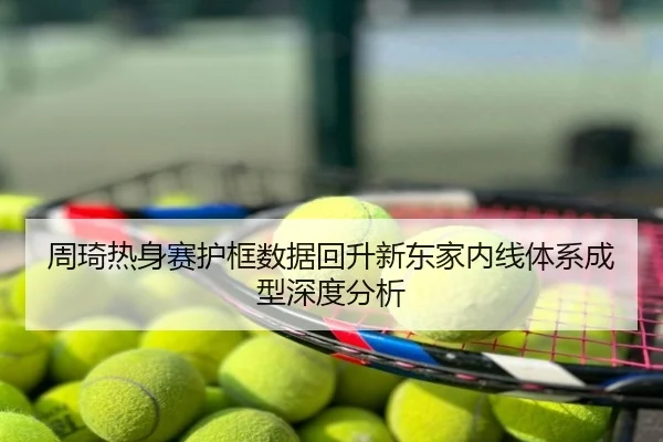 周琦热身赛护框数据回升新东家内线体系成型深度分析